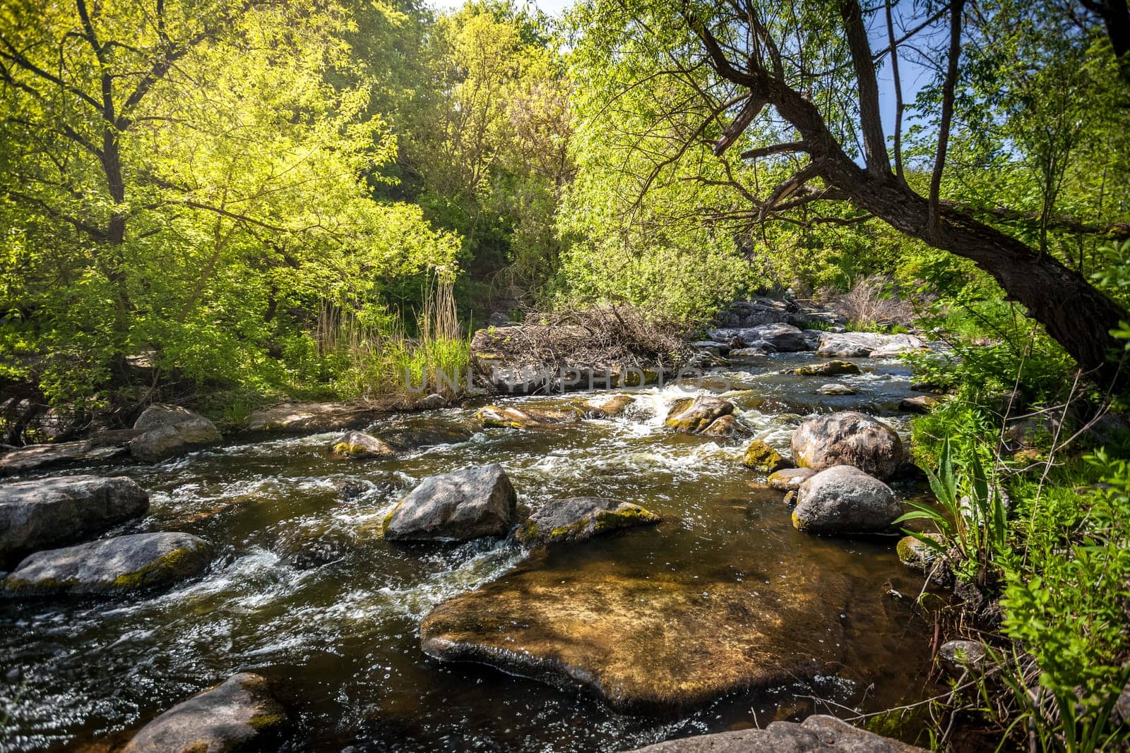 Beautiful landscape of mountain river at sunny day