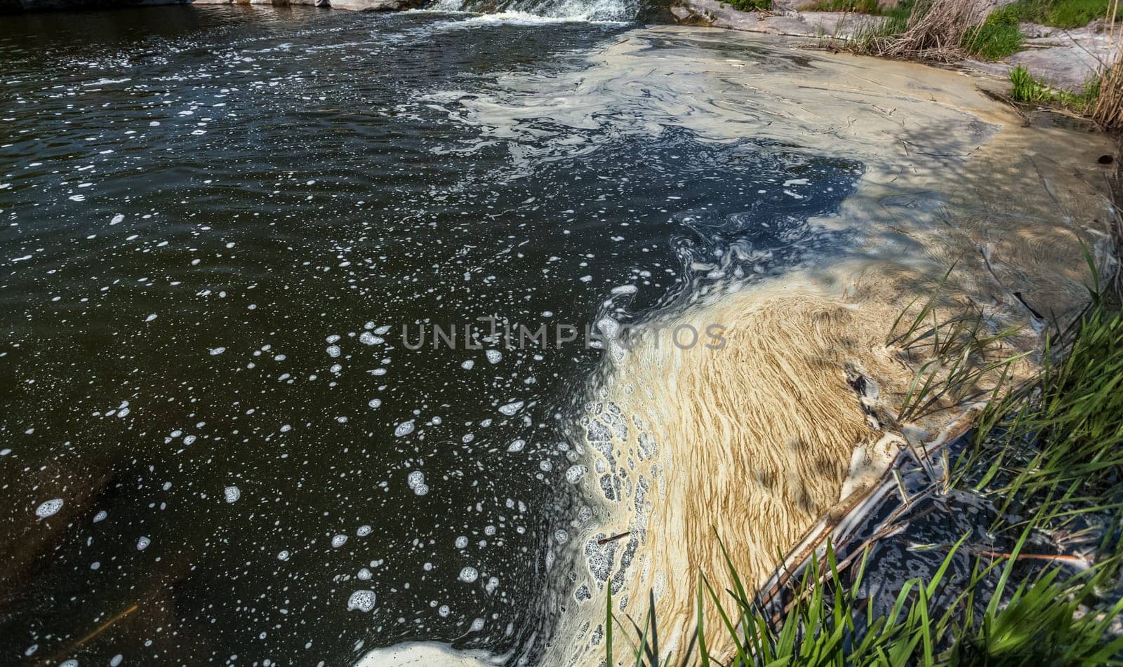 Photo of dirty oil foam at river water
