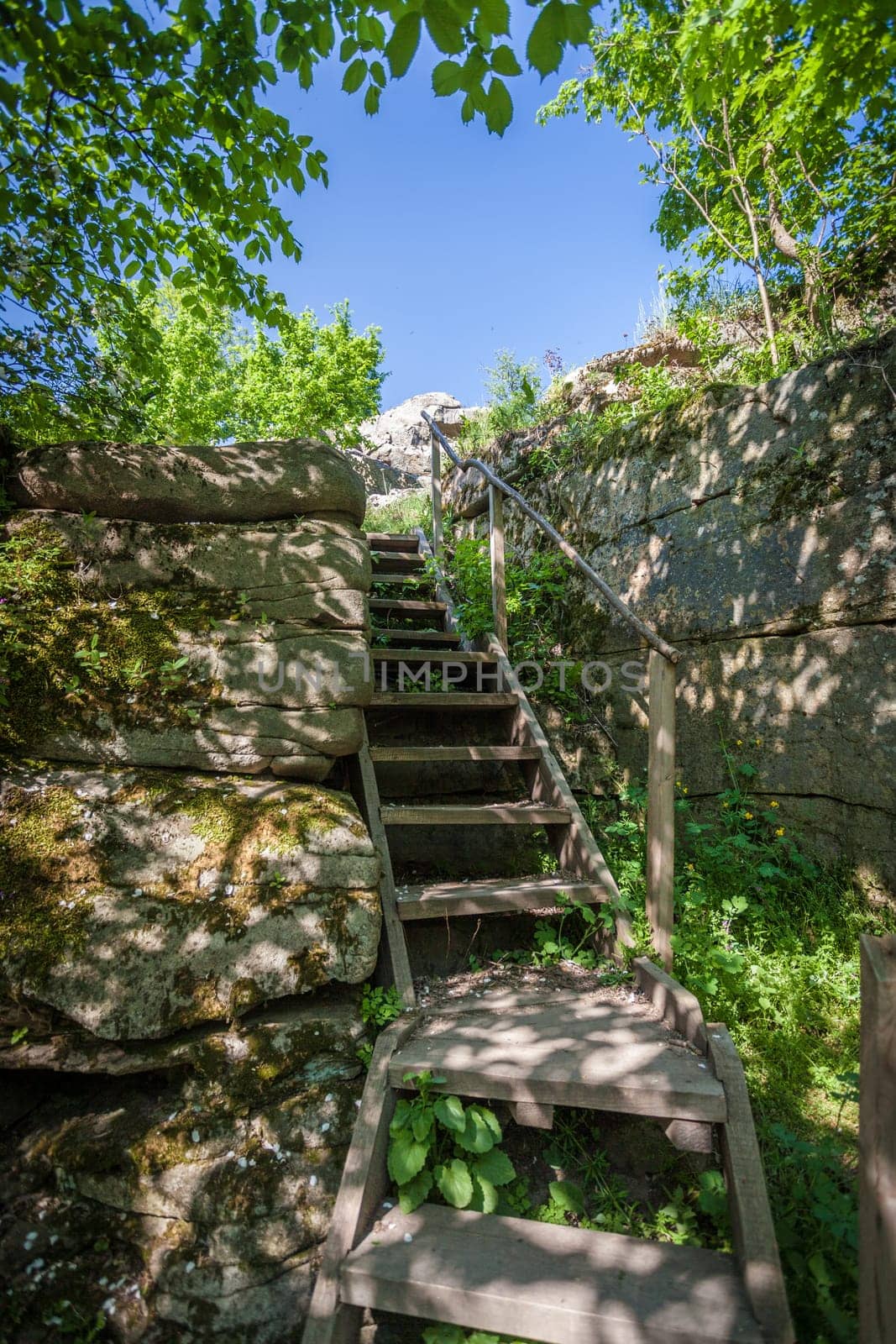 Photo of old wooden stairs in european forest