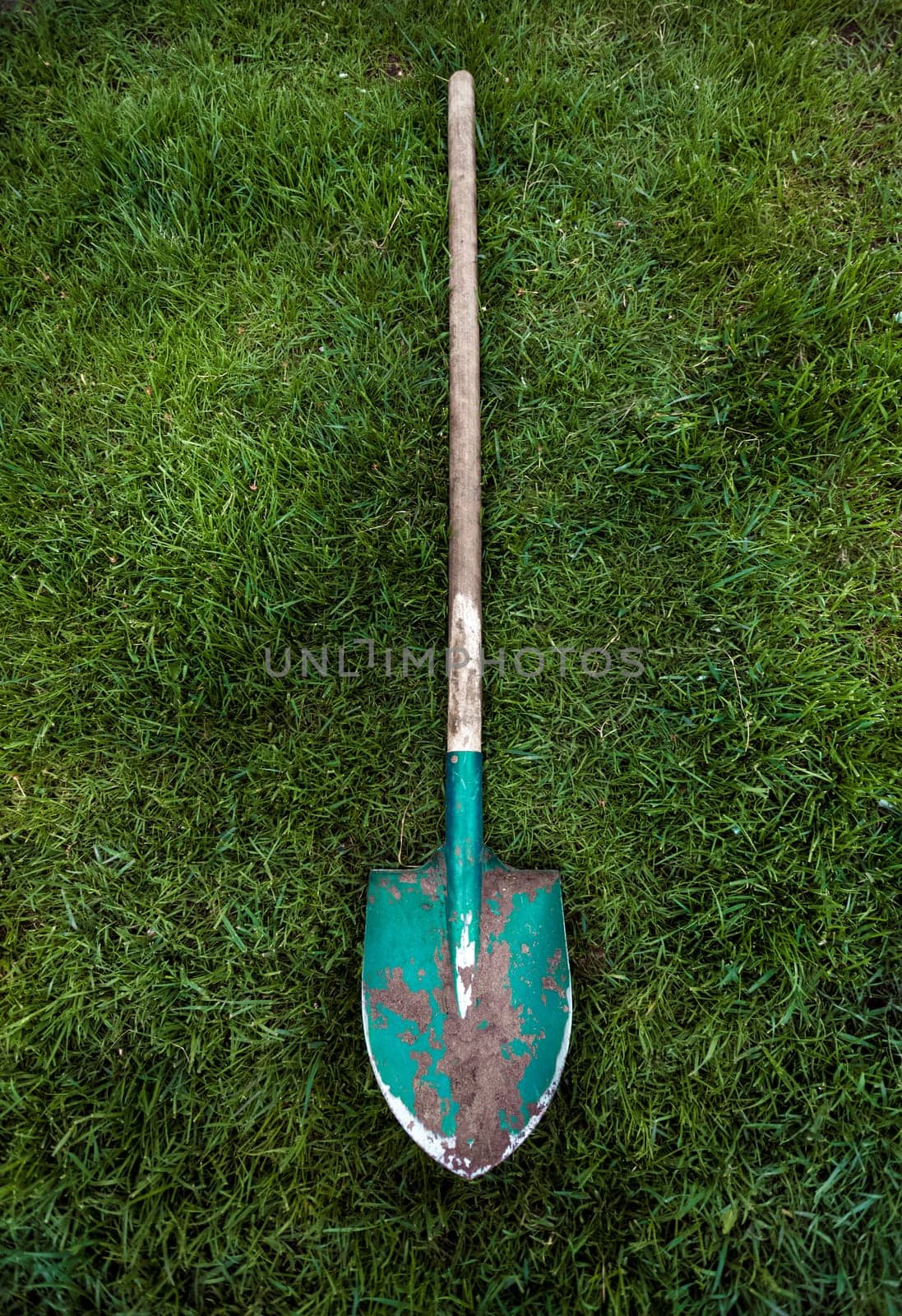 Photo of metal green shovel with wooden handle on grass lawn
