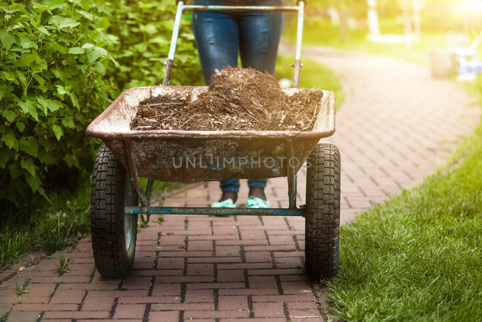 Closeup photo of garden wheelbarrow with earth at sunny day