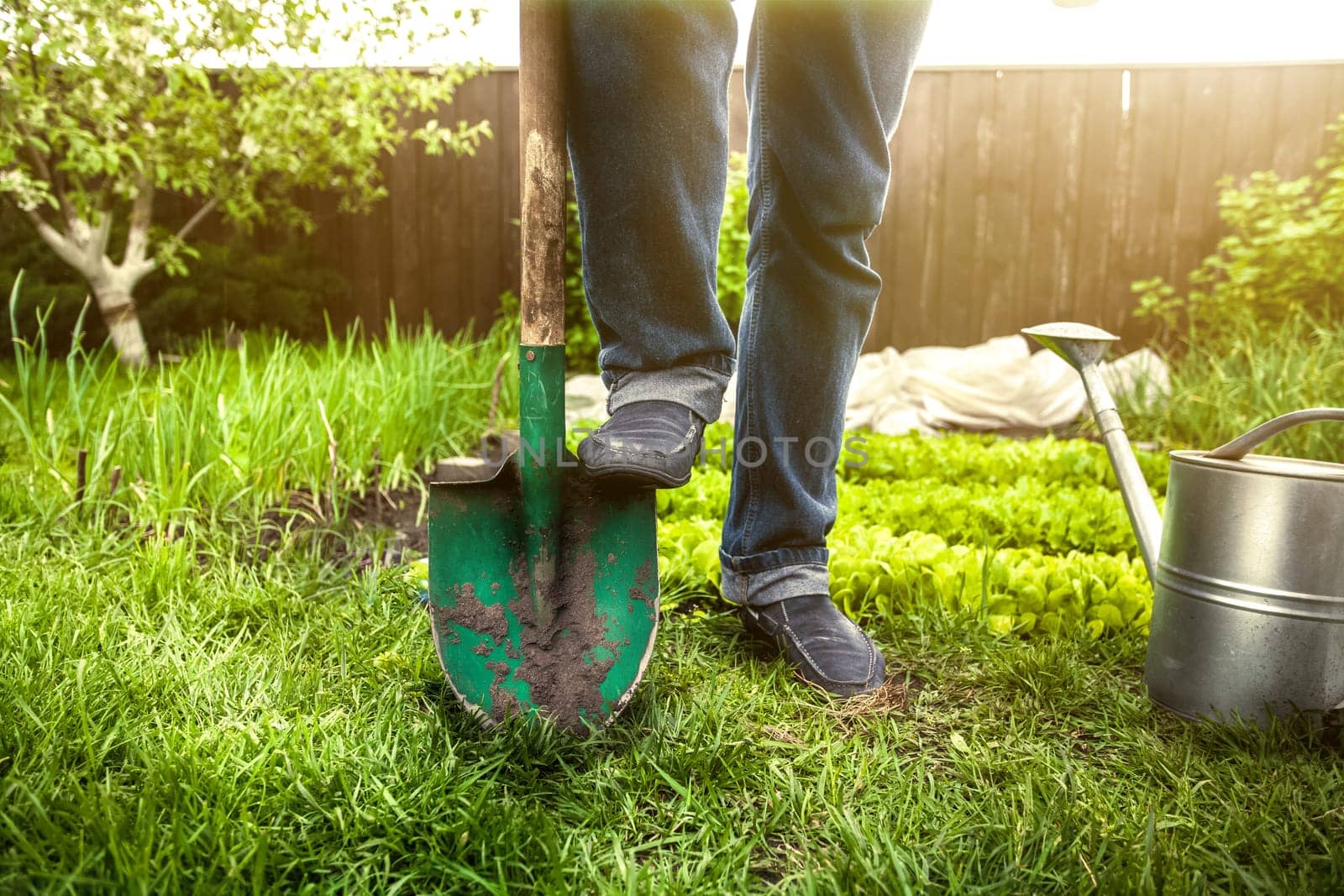 Closeup photo of man holding foot on shovel at garden at sunny day