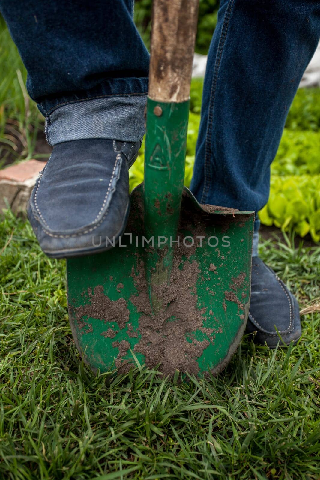 Closeup photo of male hand on metal shovel on ground