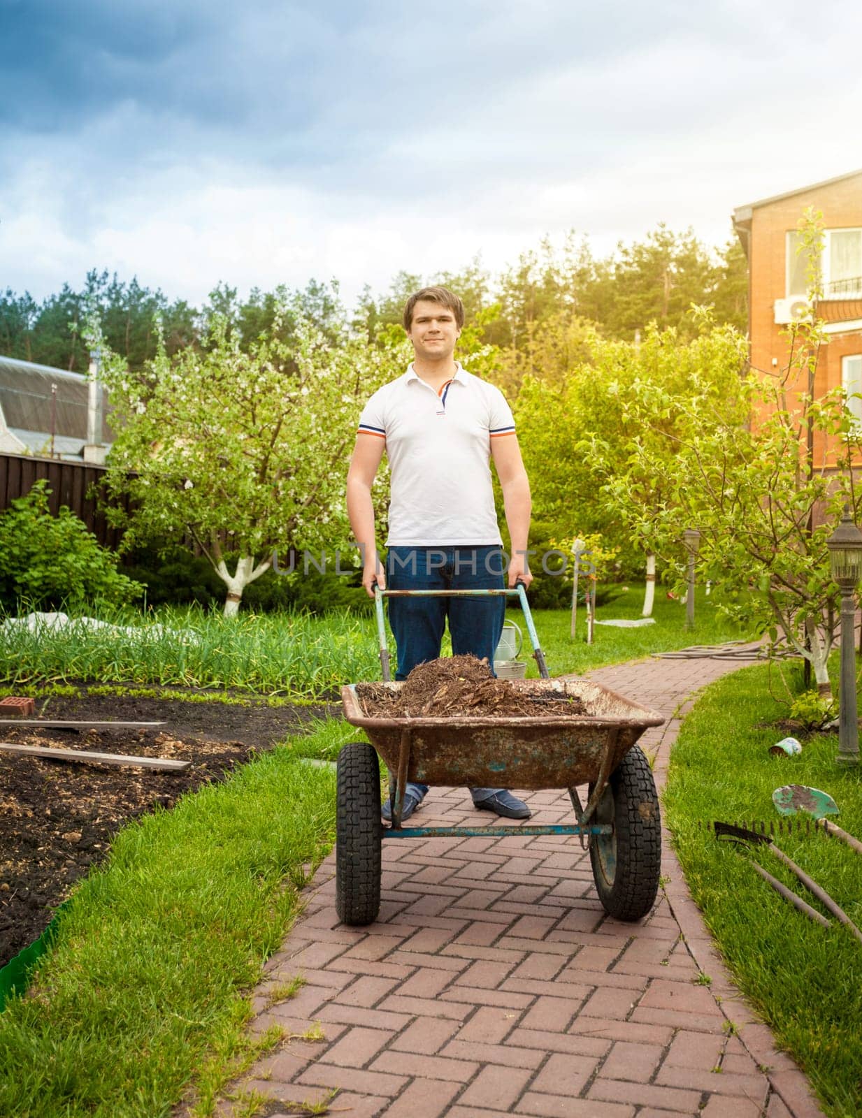 Handsome man carrying wheelbarrow at beautiful garden