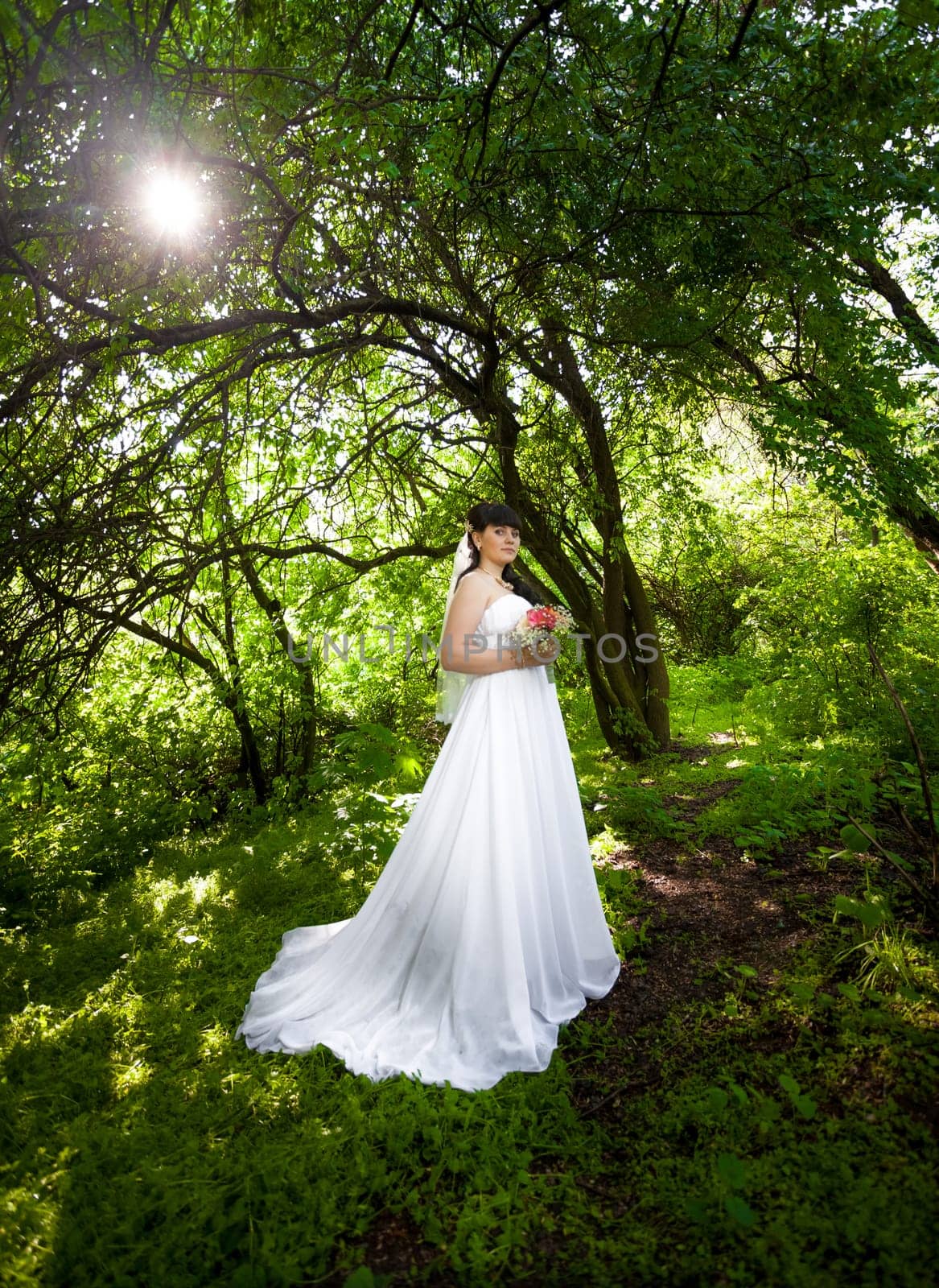 Beautiful bride in long dress under big trees at old forest