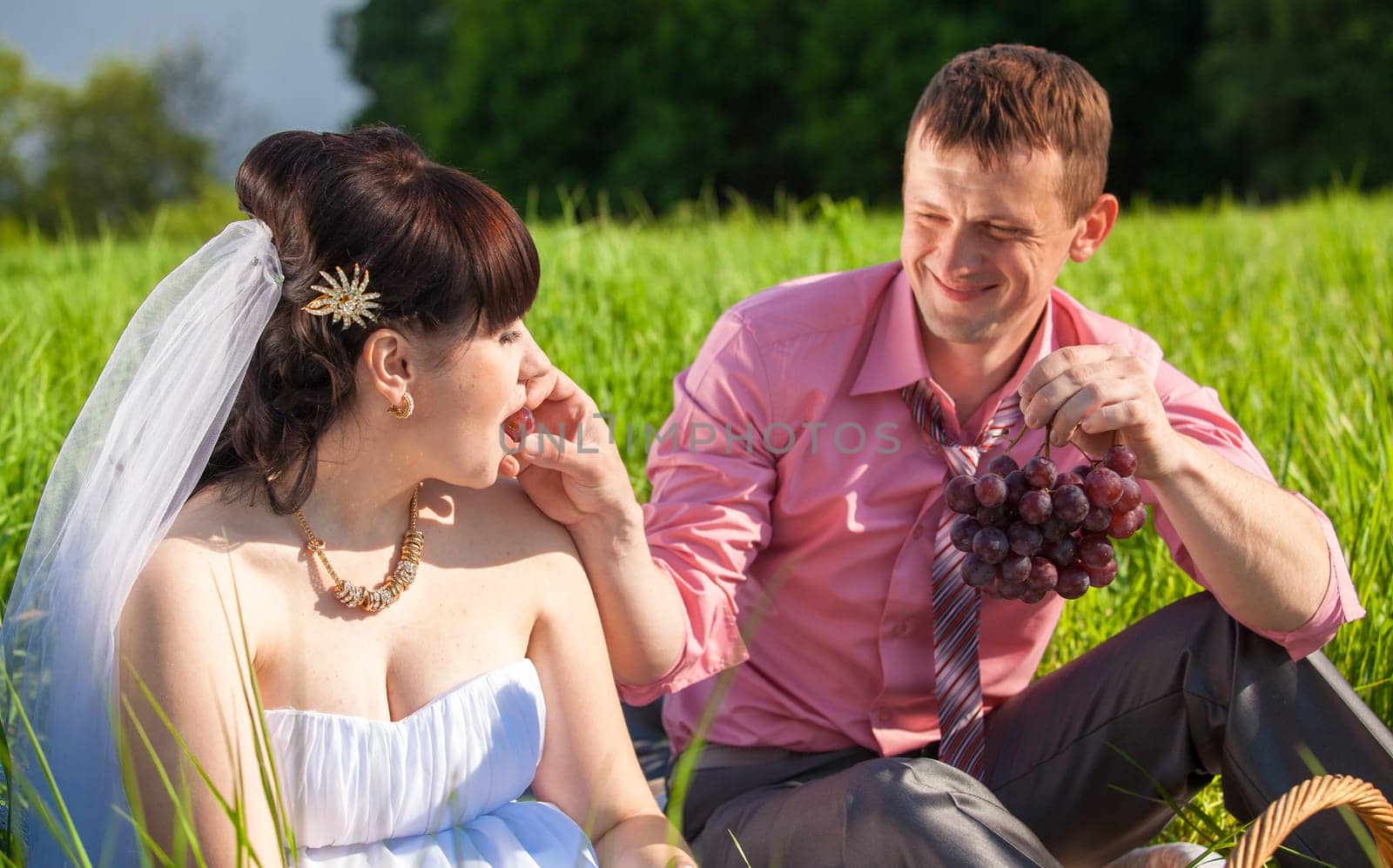 Closeup portrait of groom feeding bride with grapes at picnic