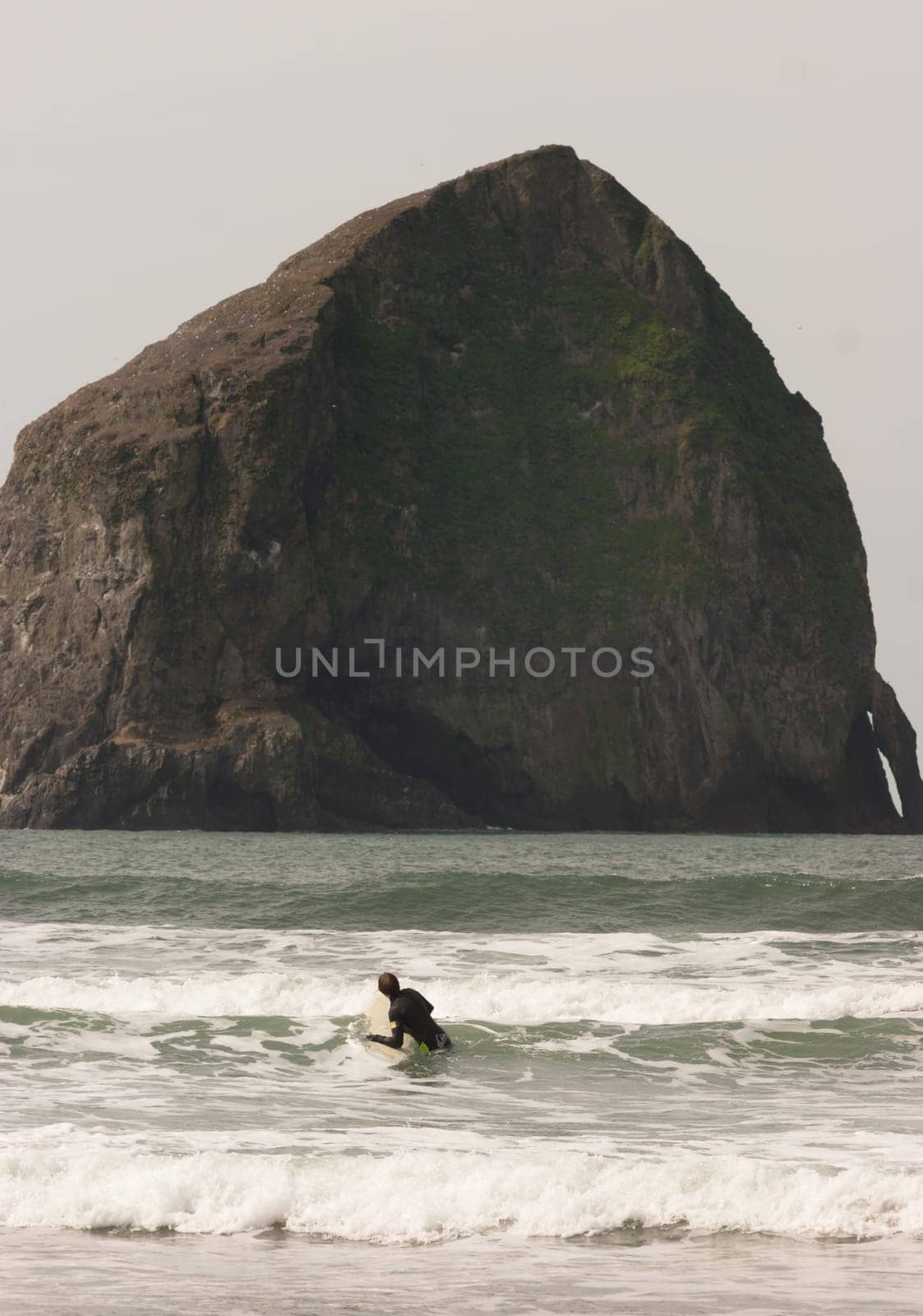 Vertical composition male surfer trying to catch a wave West Coast