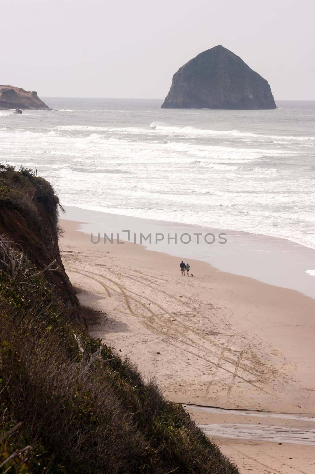 A couple walks the dog along the Pacific Ocean of the West Coast
