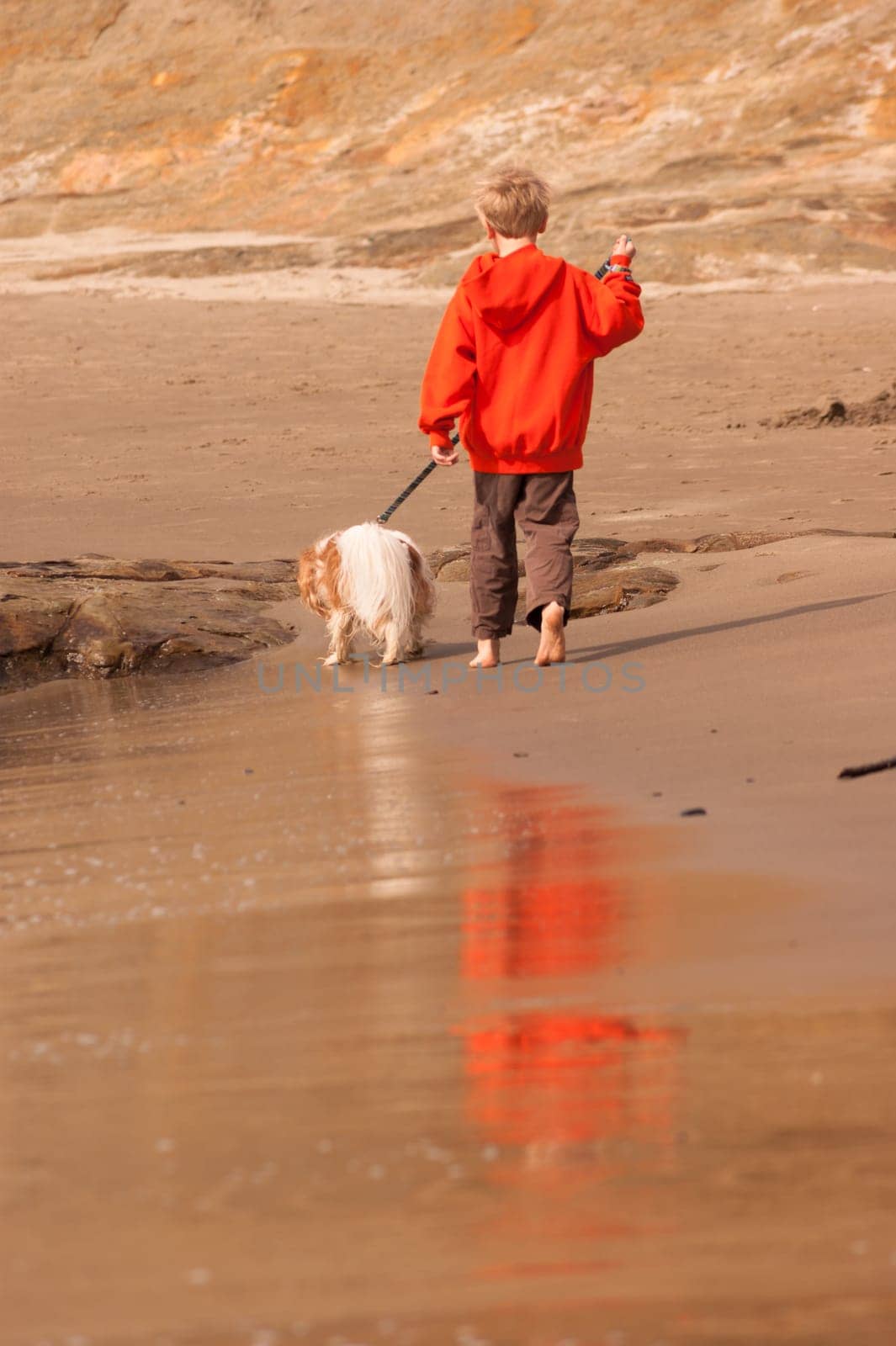 Beautiful beach scene young boy walking his dog