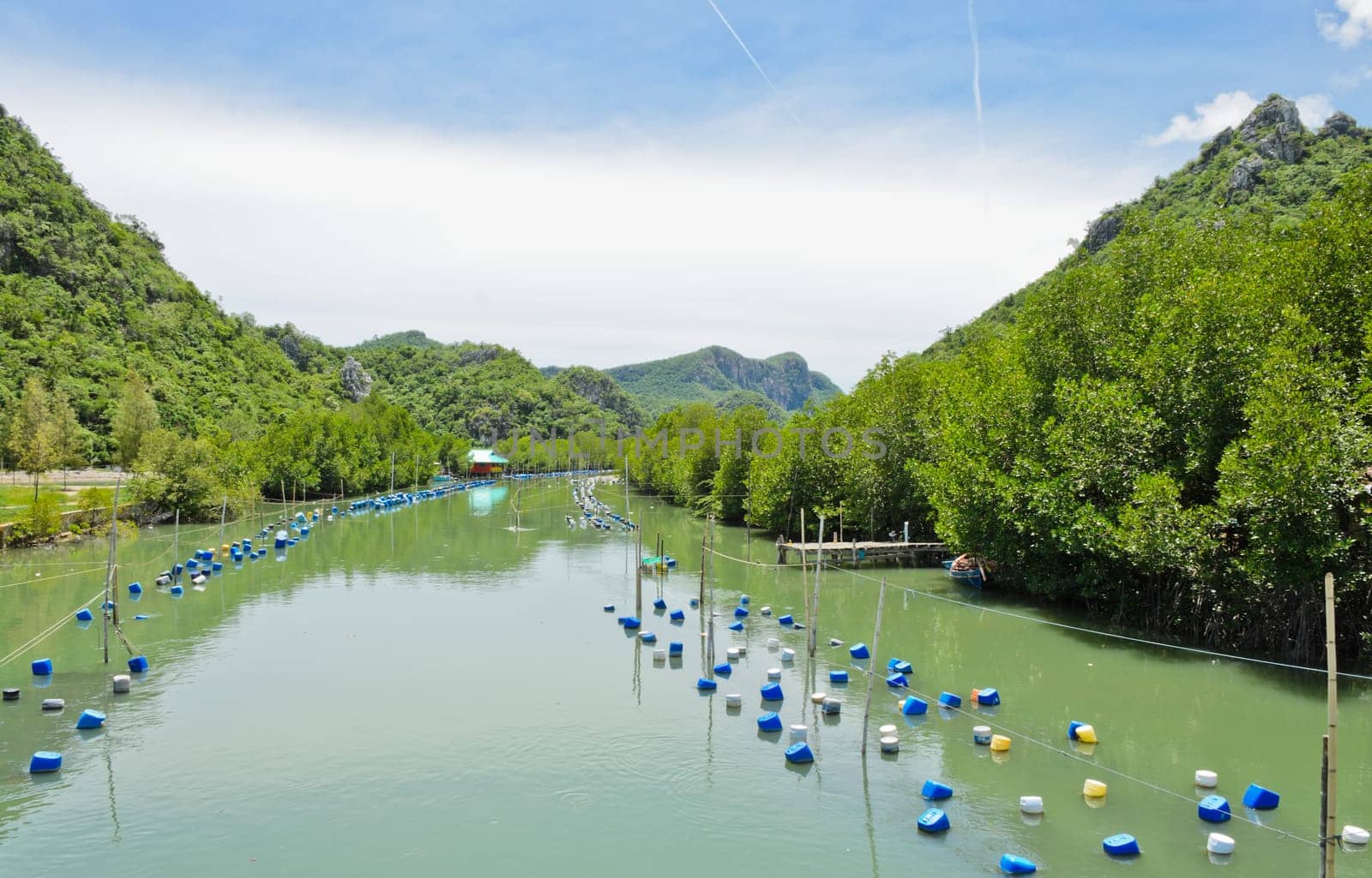 Shrimp farm in Thailand