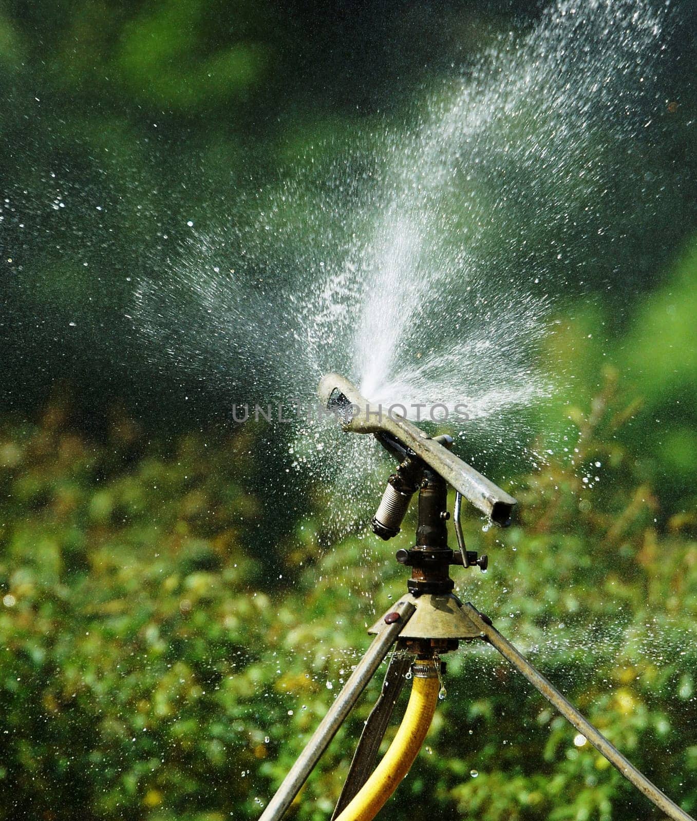 Lawn sprinklers