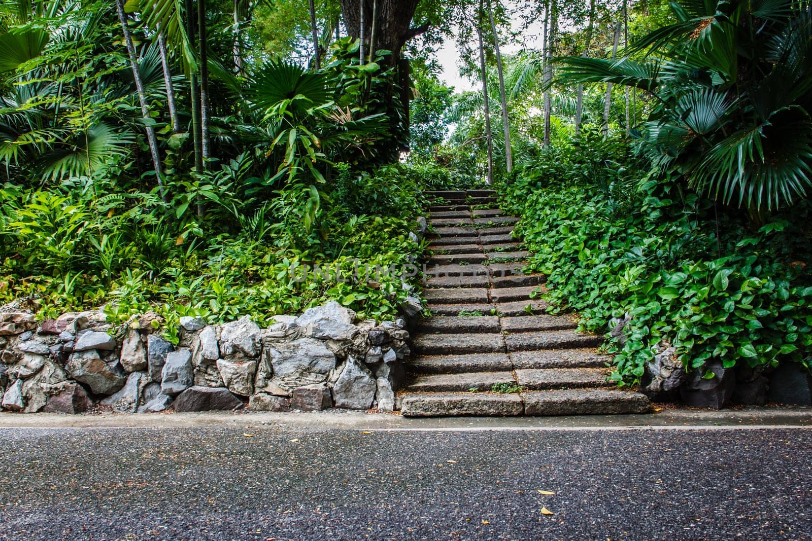 Natural stone stairs in garden