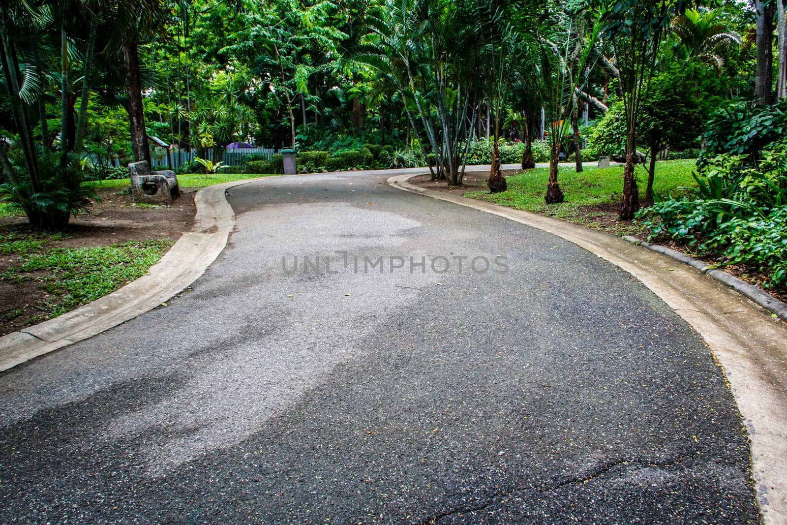 garden walkway in the zoo