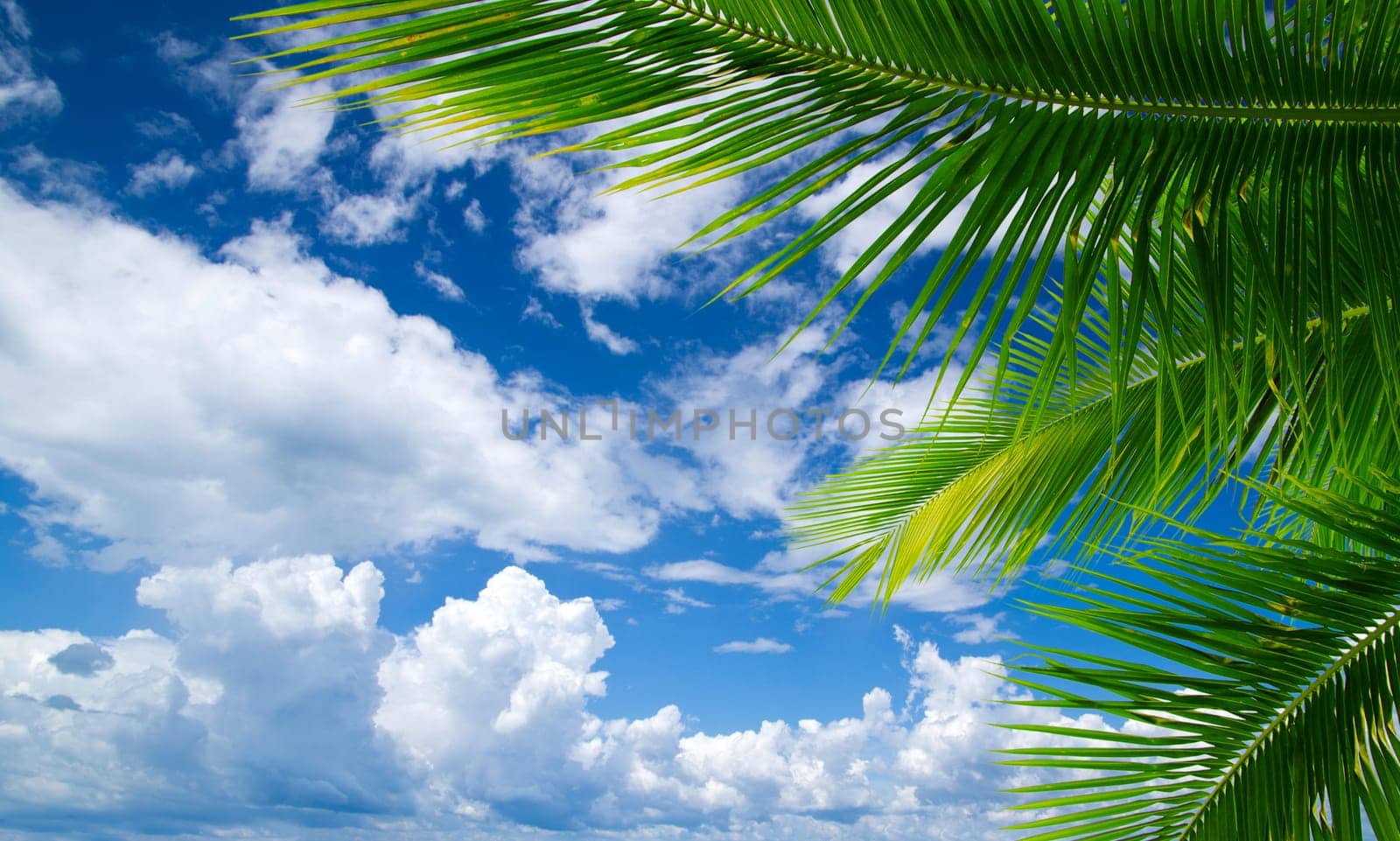 Aerial sky and clouds background