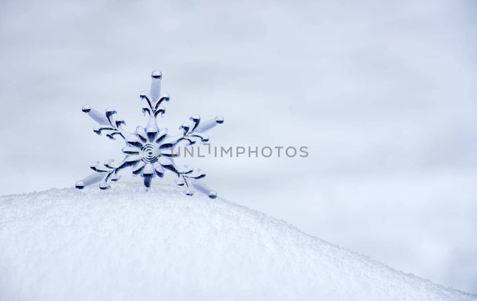 Snowflake in a white snow
