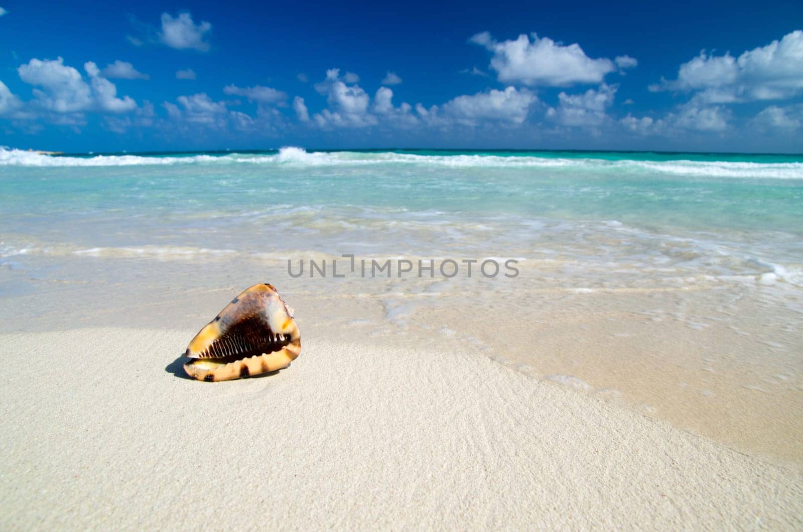 sea beach blue sky sand sun daylight relaxation landscape