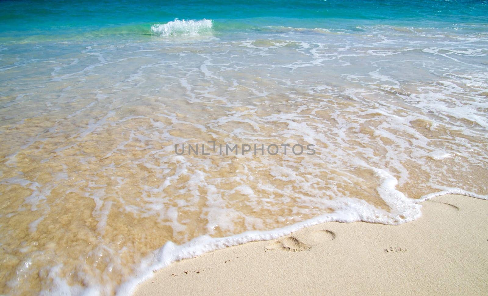 beautiful beach and tropical sea