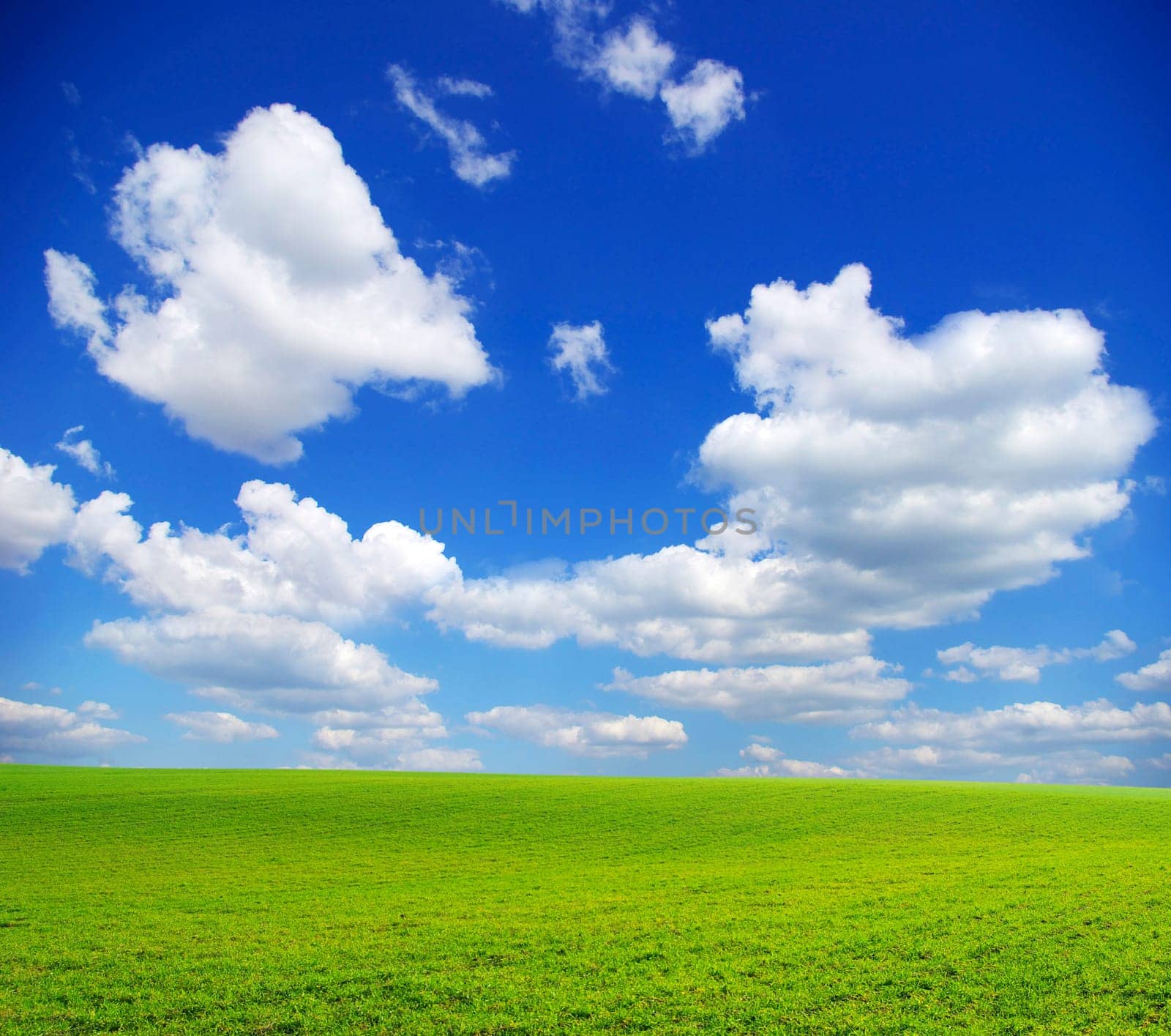field on a background of the blue sky