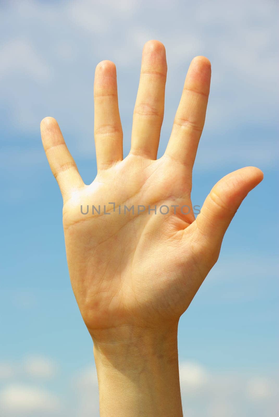 Woman hand  isolated on blue background