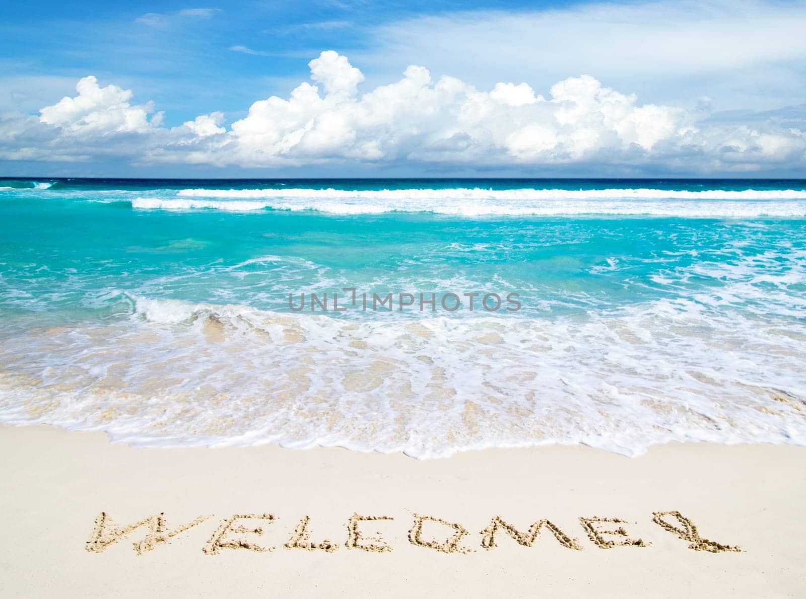 beautiful beach and tropical sea