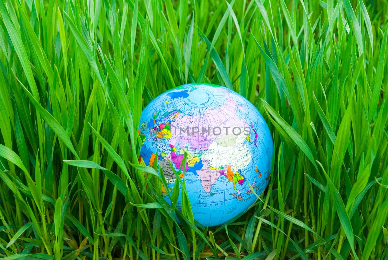 Earth  globe in hte grass