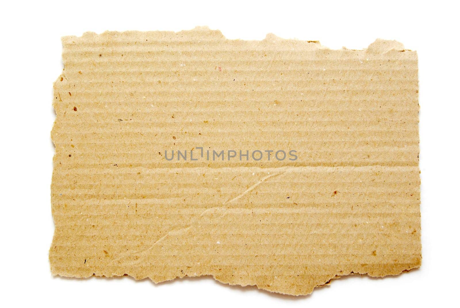 Ripped piece of cardboard on white