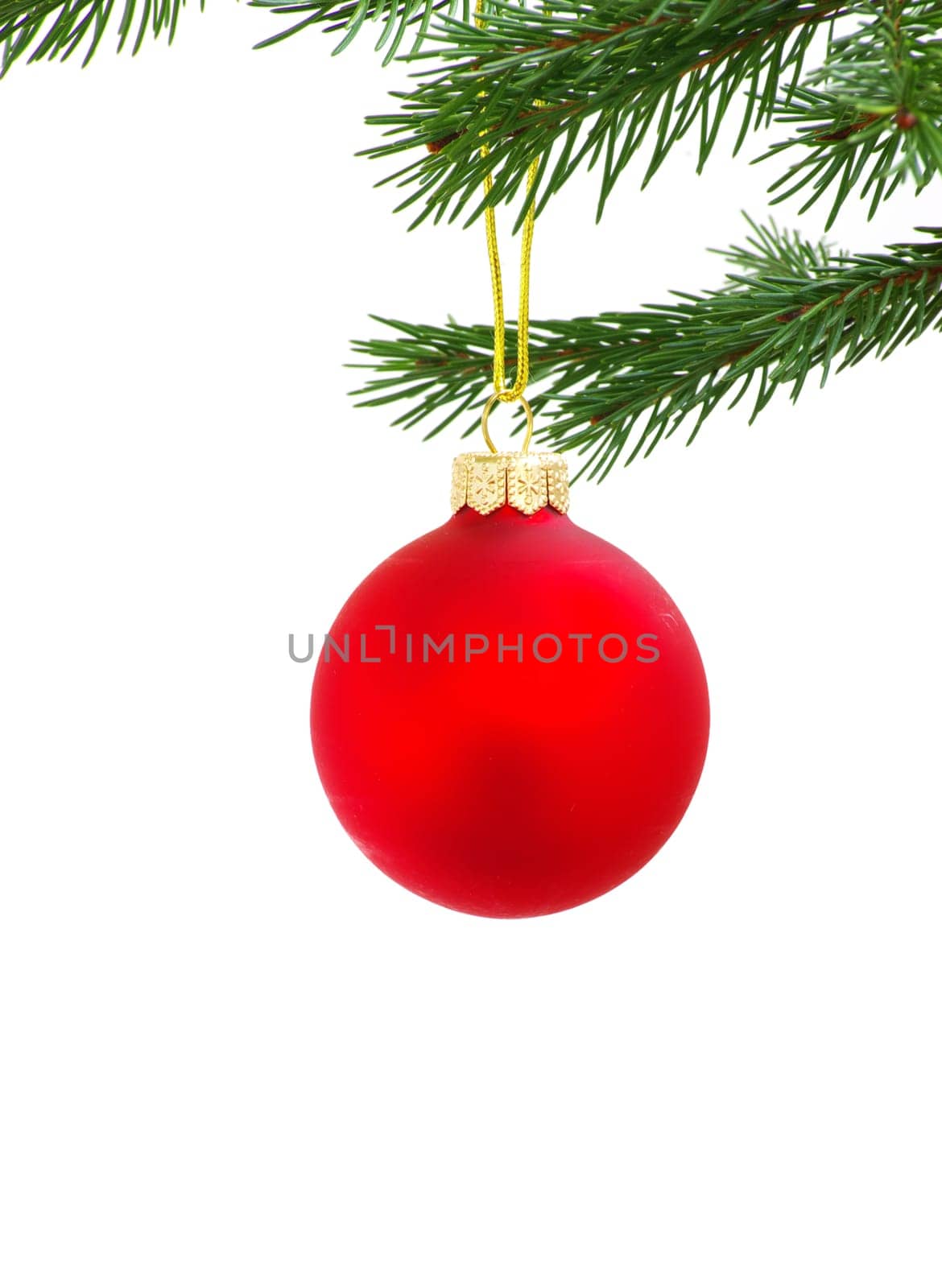 Christmas ball isolated on the white background..