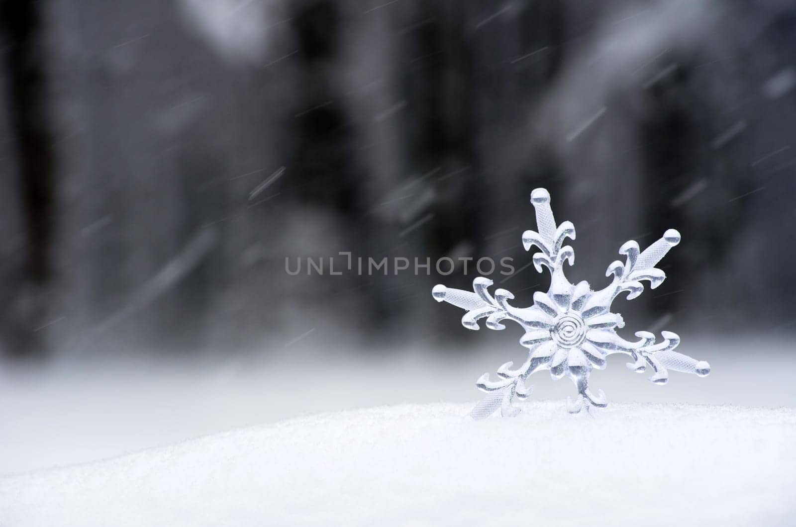 Snowflake in a white snow