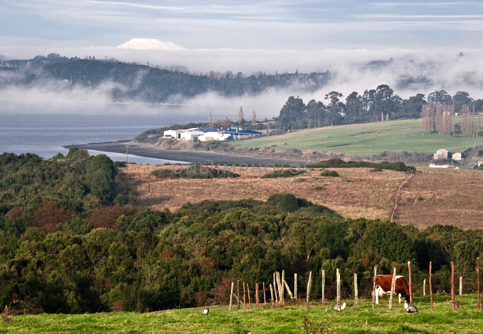 Idyllic landscape Castro neighborhoods in the archipelago of Chiloe, Chile