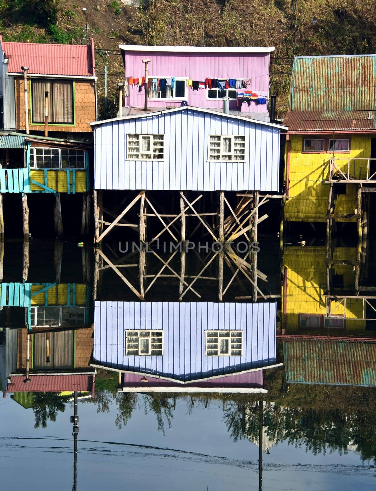 Palafitos Houses are distinctive examples of Chilote architecture. The large houses are located on the shores of the Gamboa River and the Lemuy Canal. They are supported by thick pieces of wood embedded in the ocean floor and covered in tile roofs. At low tide, it is possible to see where the support structure anchors into the floor of the ocean  at high tide, the houses seem to float.