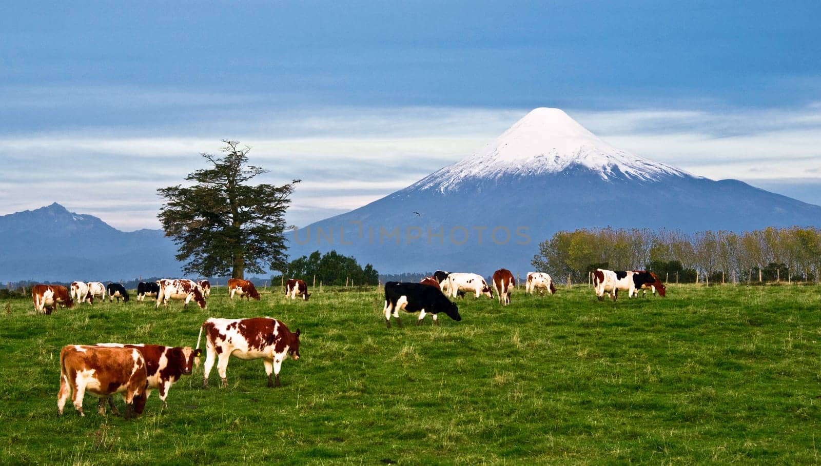 Idyllic landscape of Osorno Volcano, Lake Region, Chile