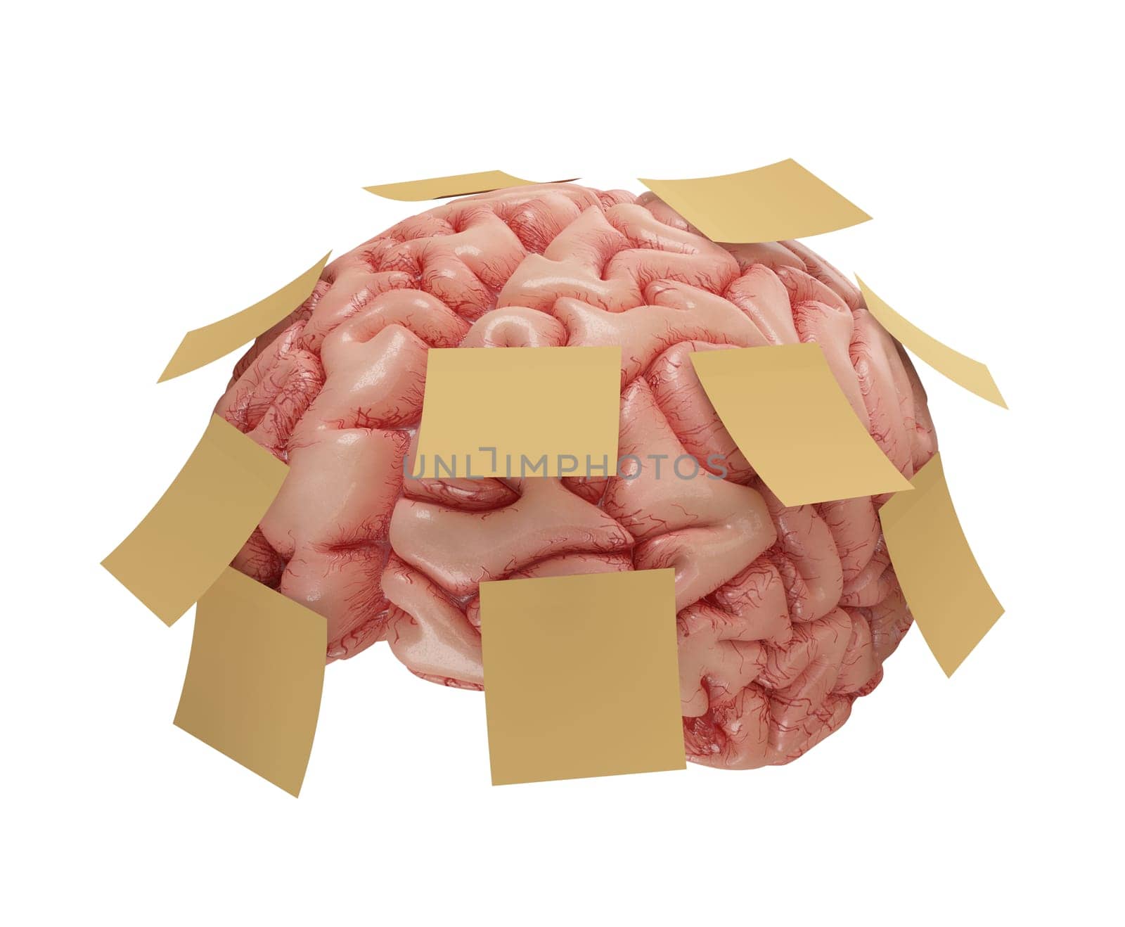 Human brain with yellow sticky notes attached. Concept of good or bad memory. Clipping path included.
