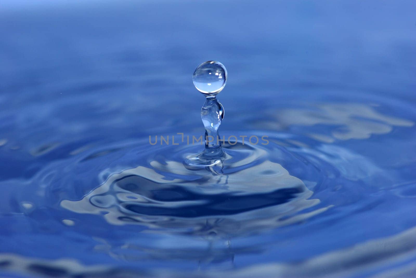 The round transparent drop of water falls downward