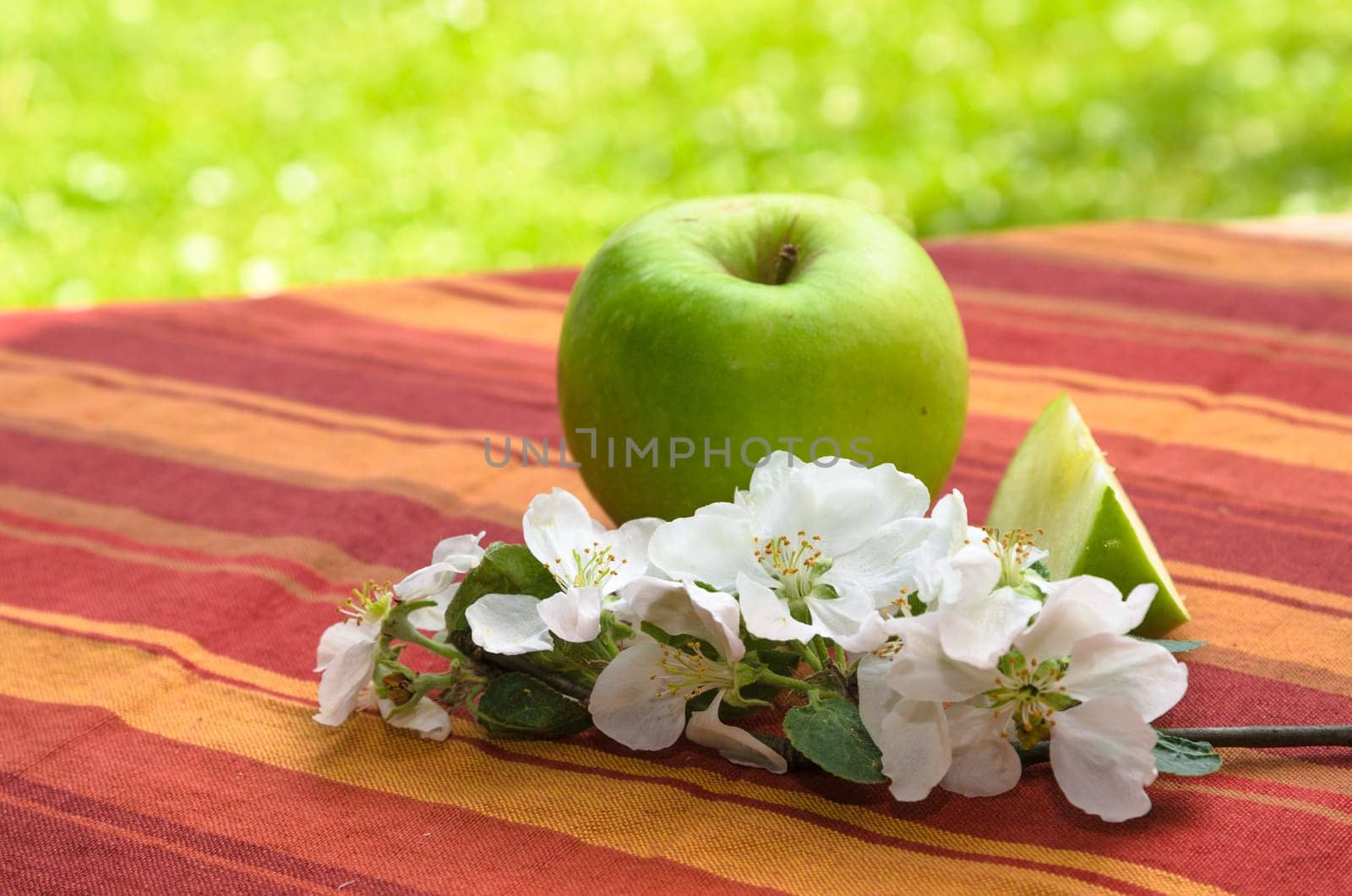 Green apple with a branch of a blossoming apple-tree,  in a garden