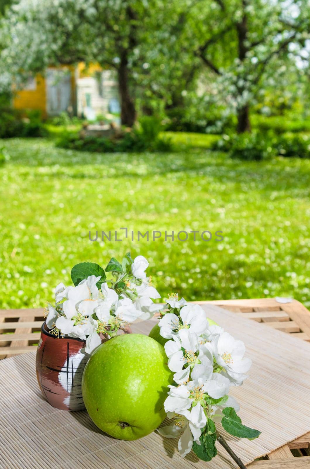 Green apple with a branch of a blossoming apple-tree. On a table in a garden