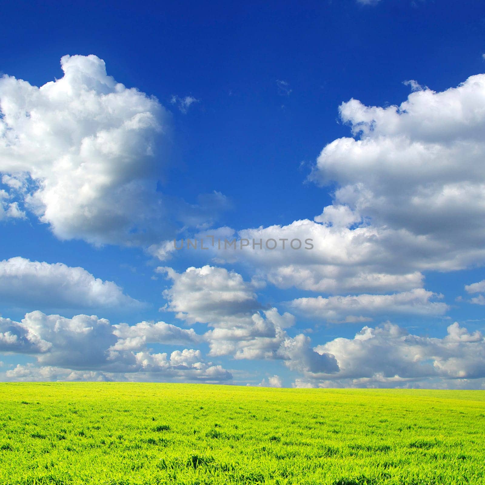 field on a background of the blue sky