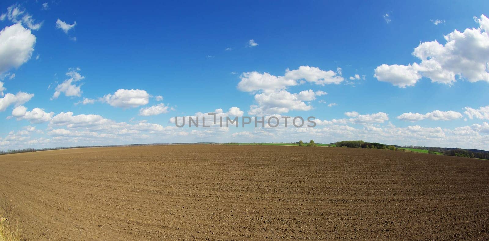 field on a background of the blue sky