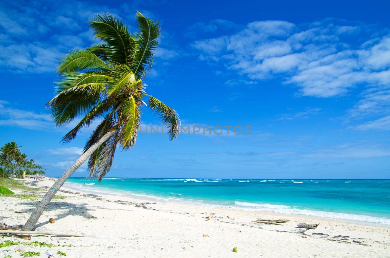 tropical sea and blue sky