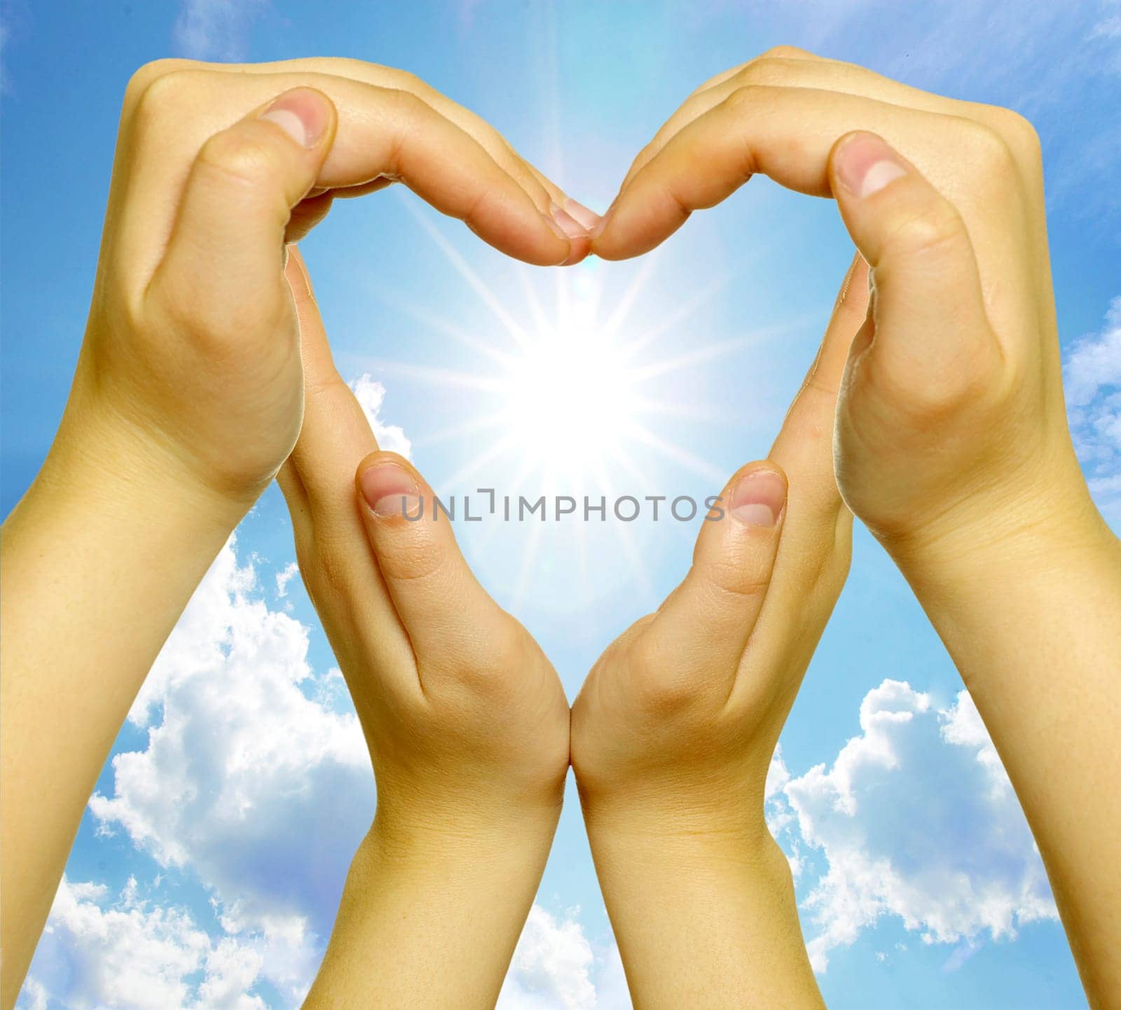 woman’s hands made in the form of heart