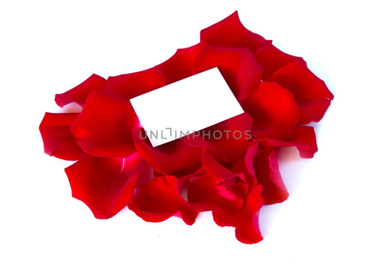 message on a petals rose