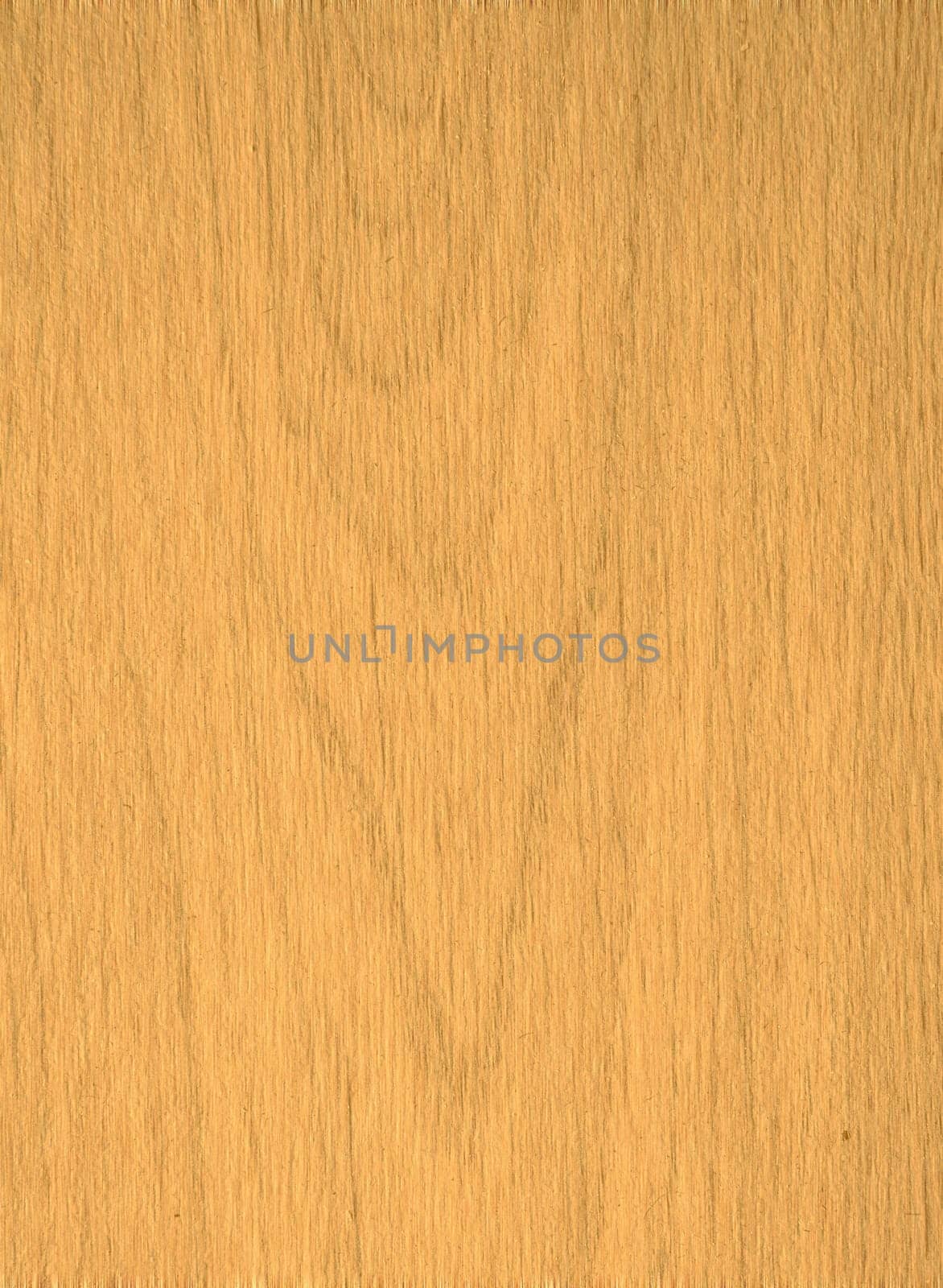 Texture of  wood to serve as background