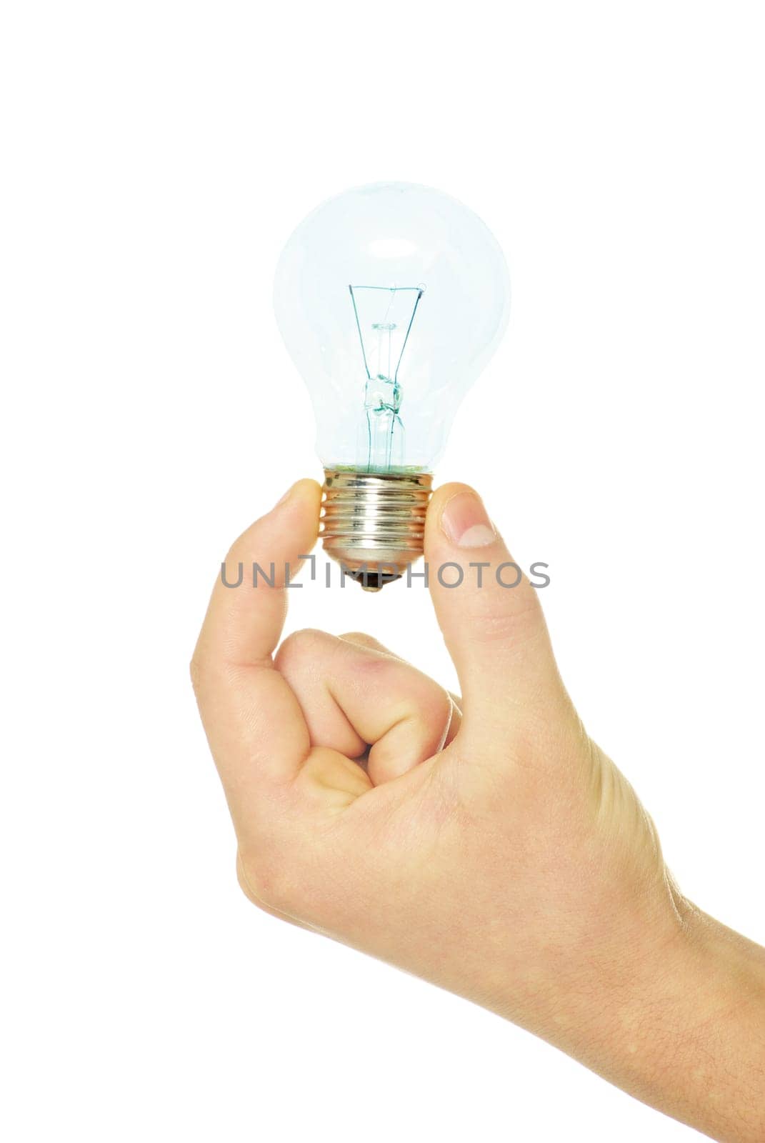 hand holding bulb isolated on white background