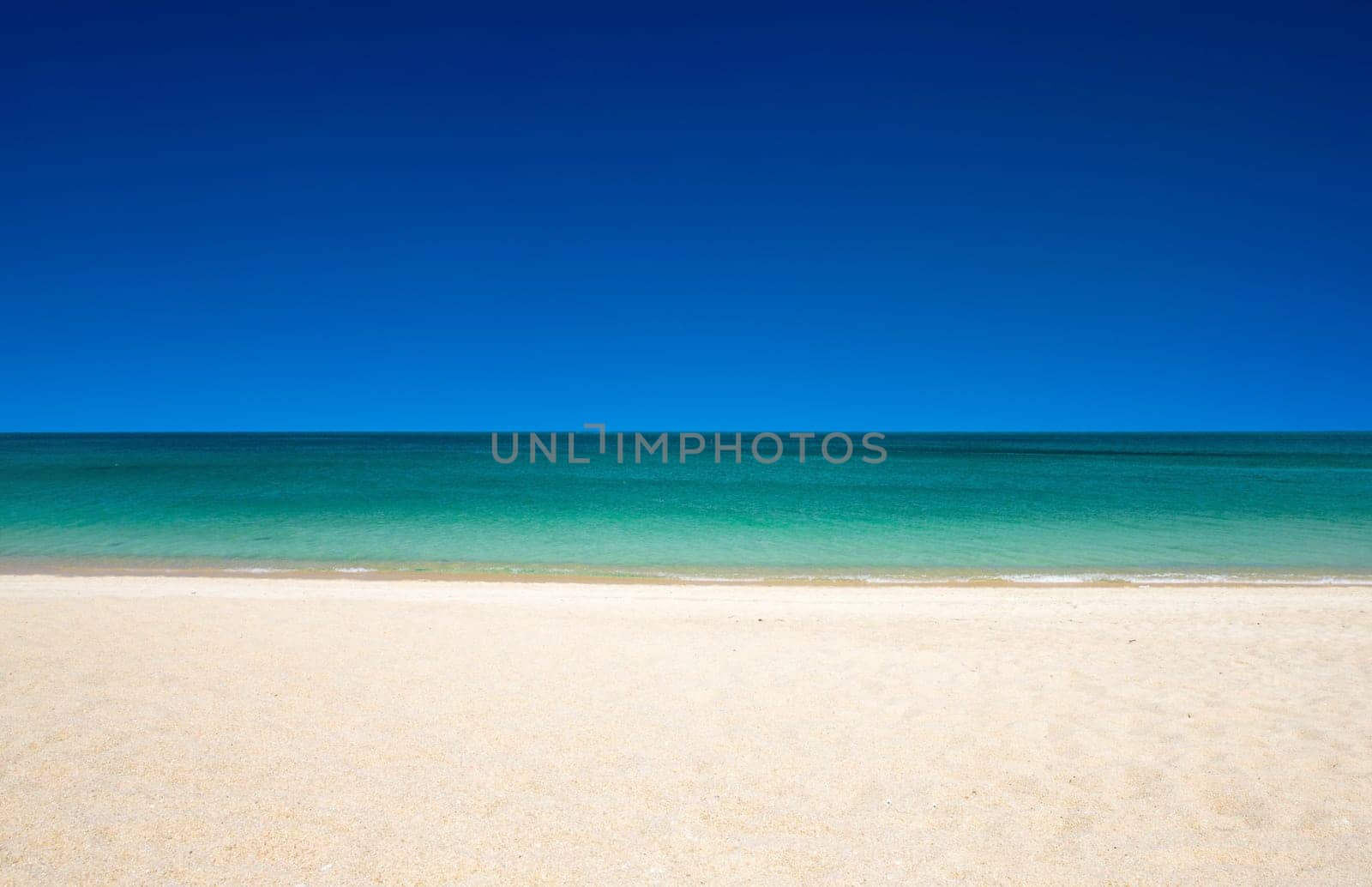 beautiful beach and tropical sea