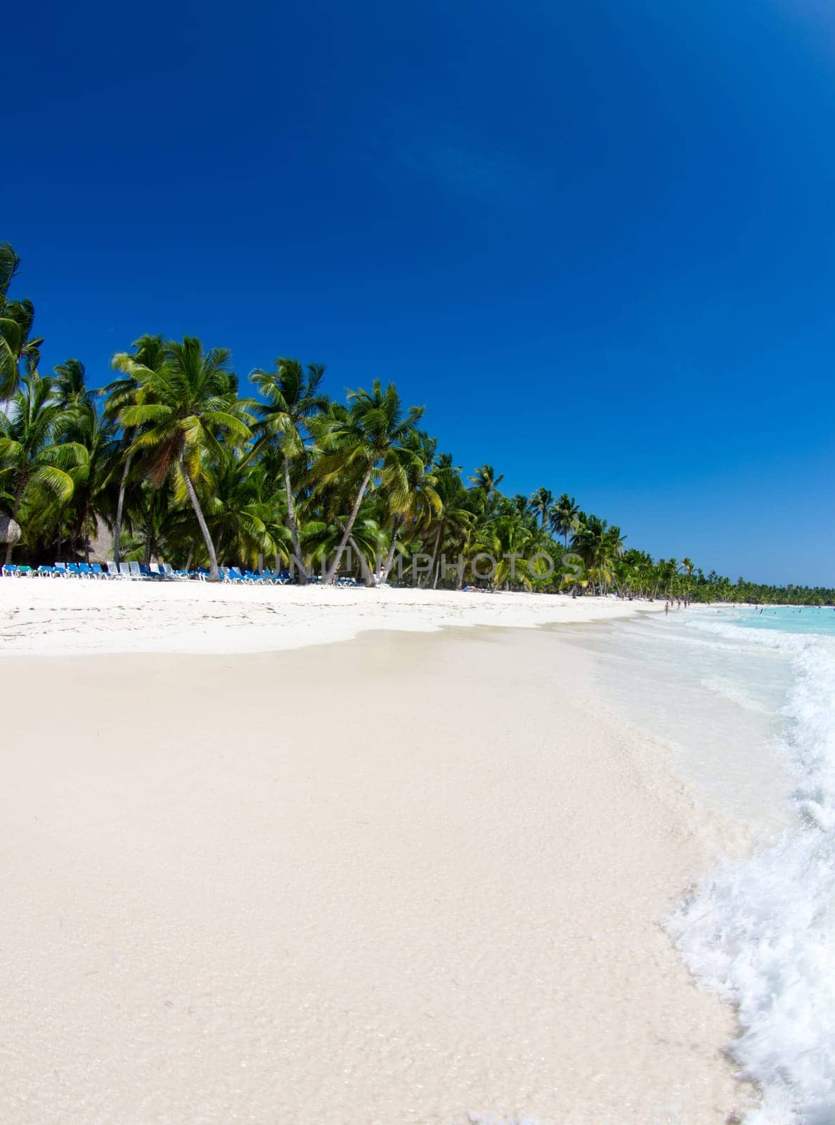 tropical sea under the blue sky