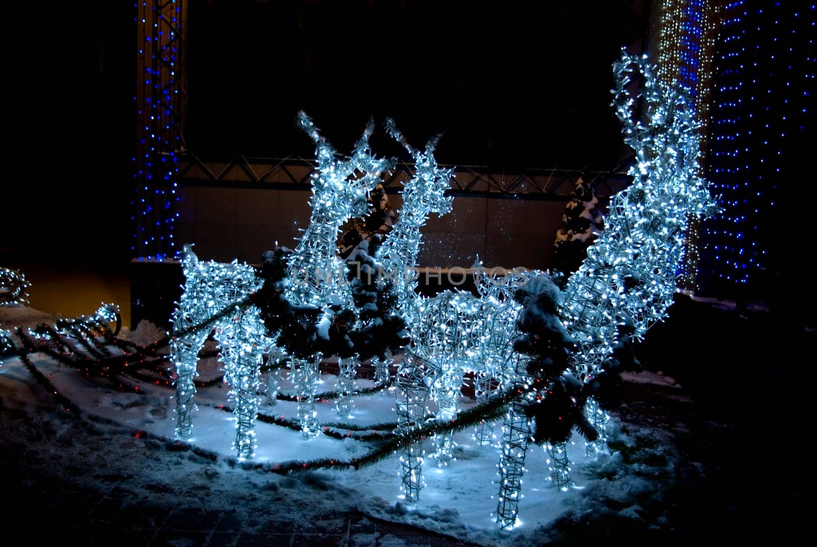 Christmas deer  at local park