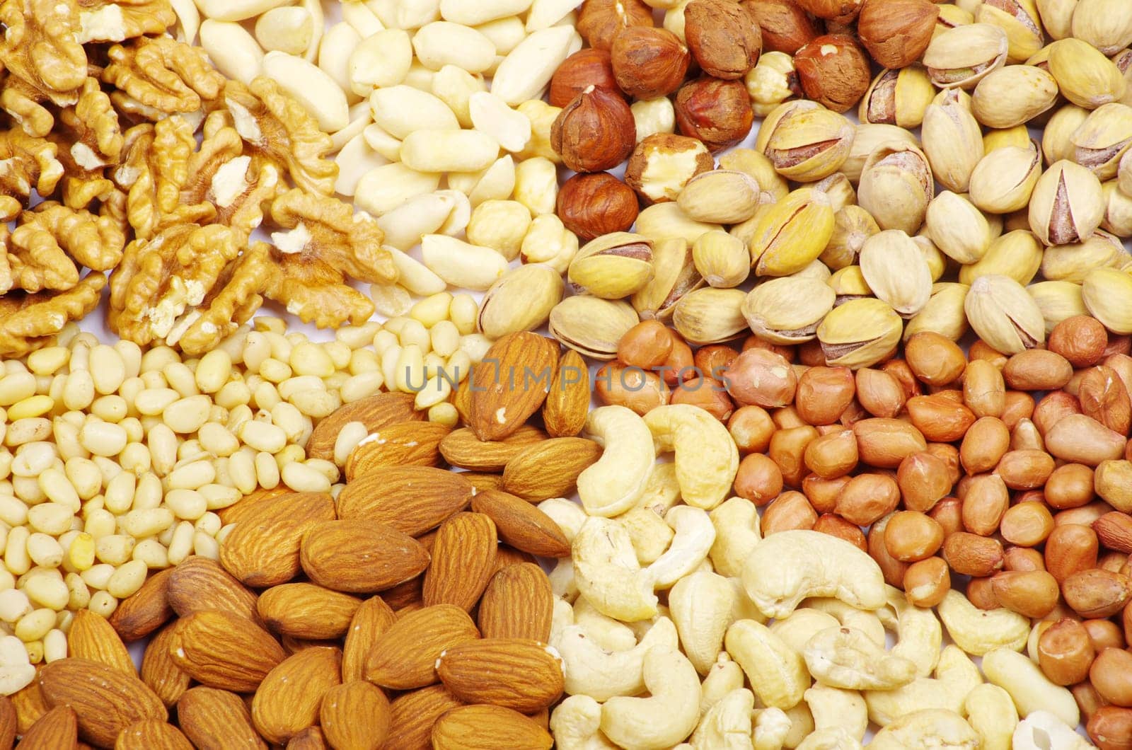 nuts collection isolated on background