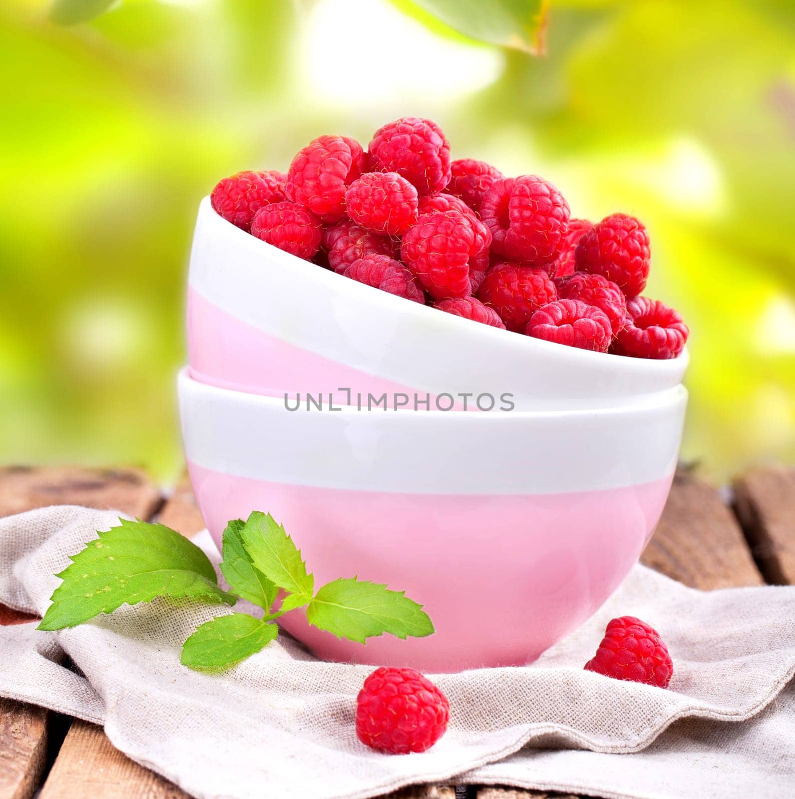 freshly harvested raspberries
