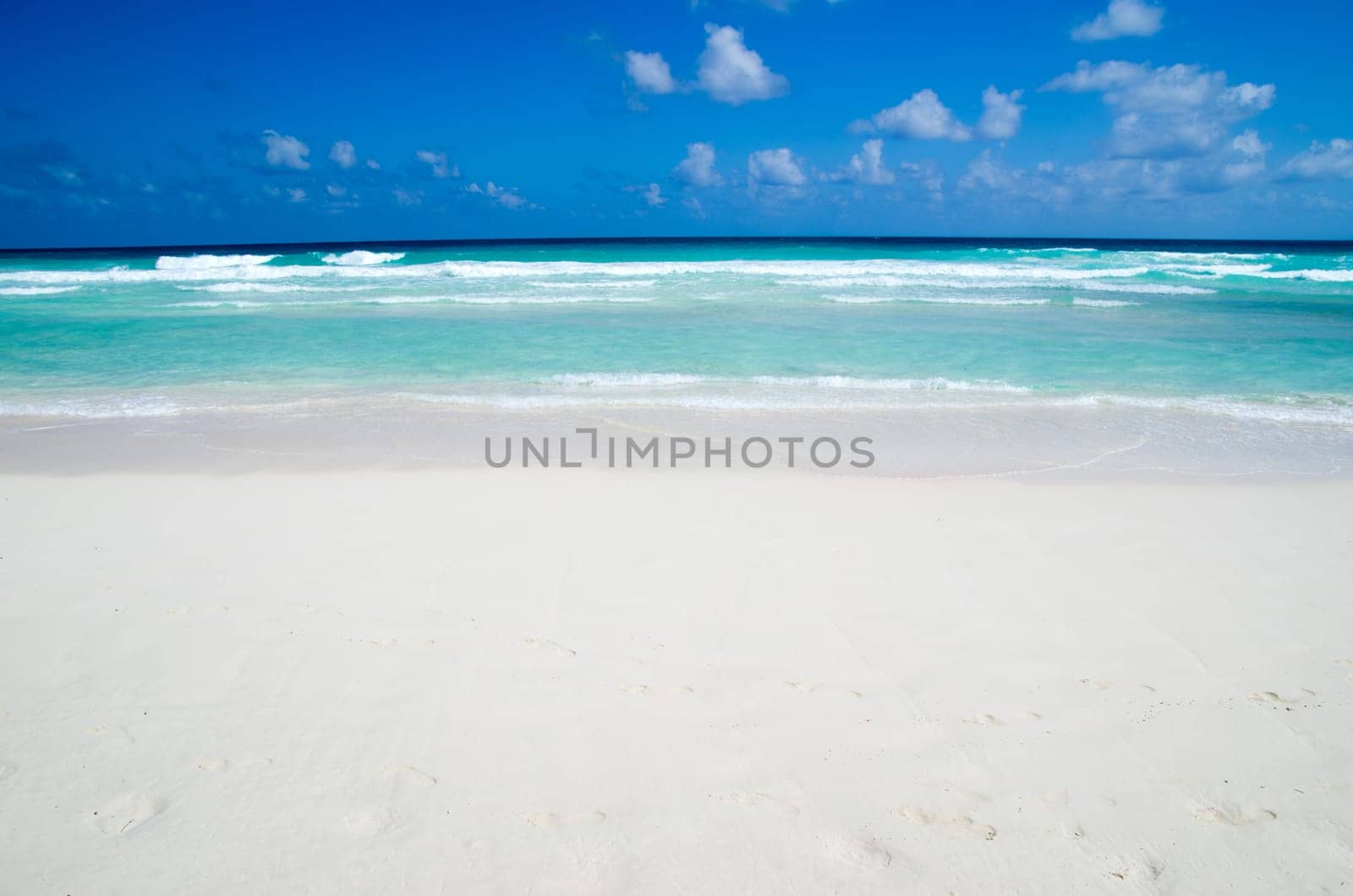 tropical sea under the blue sky