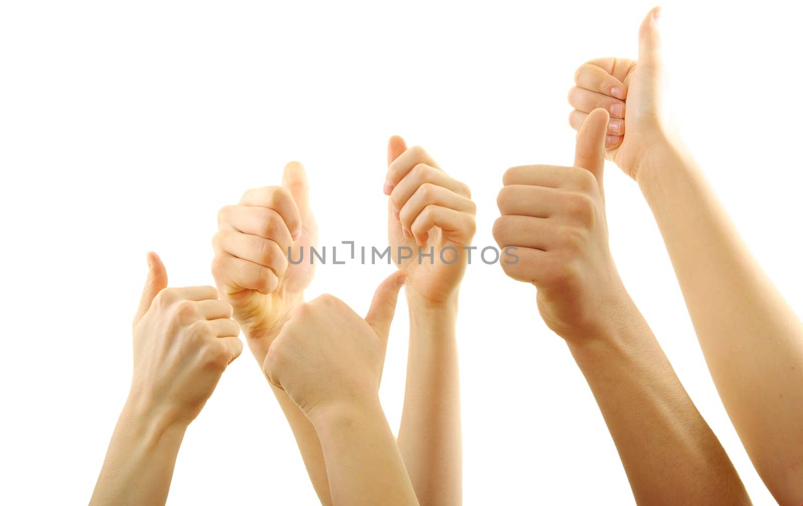 Many hand lifted up on white background