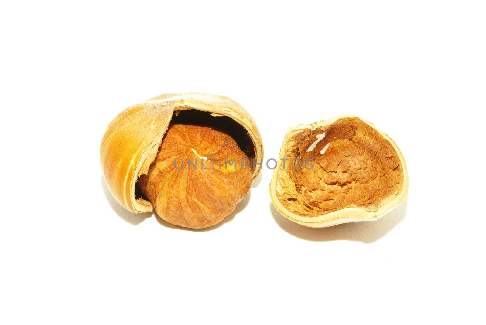 Much hazelnuts isolated on white